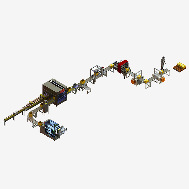 XZB-G Automatic Can Case-Packing System